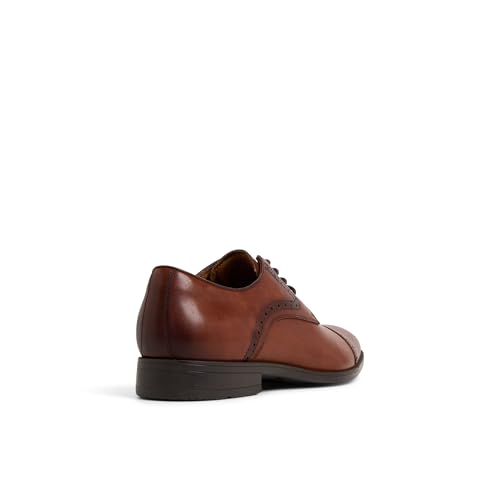 Aldo BRONKOA Men Brown Dress Lace Up