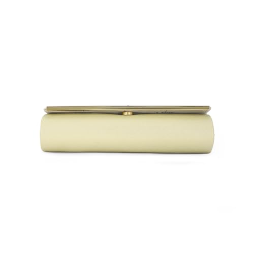 Lavie Women's Dazzy Envelope Clutch | Ladies Purse Handbag