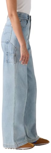 Levi's Women's Cinch Baggy Carpenter Jeans, (New) Summer Job Stone (Non-stretch), 24