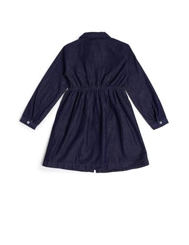 U.S. Polo Assn. Kids Regular fit Cotton Short Sleeves Shirt Collar Dresses (UGDRS0335_Pink_13-14Y)