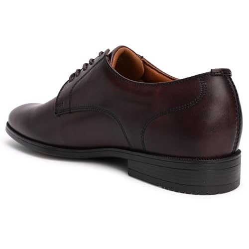 Aldo INTANJAY Men Brown Brogues