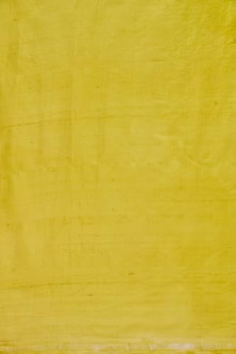 Taneira Women Light Green Silk Hand Painted Saree with Hand Embroidery Highlights Accentuating The Motifs (SHH07I00003-Light Green)