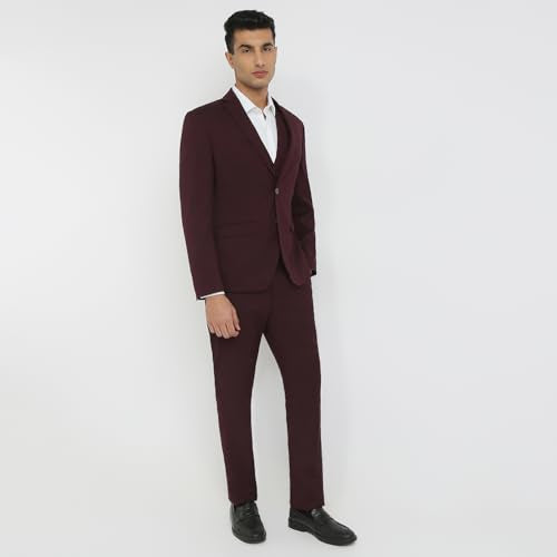 Park Avenue Men Modern Slim Fit Solid Pattern Terylene Rayon Blend Notch Lapel Full Sleeve Ceremonial Suit Maroon