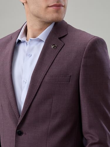 Park Avenue Maroon Solid Pattern Men Suit