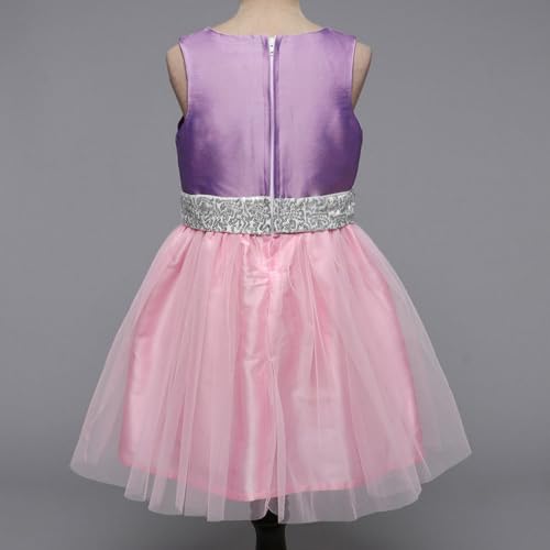 Hopscotch Girls Sleeveless Purple Sequin Embellished Party Dress (12-24 Months)