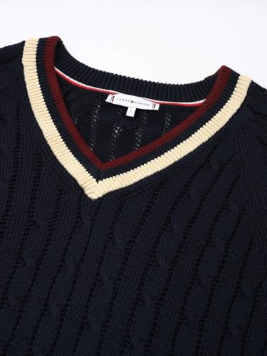 Regular Fit Cotton V-Neck Sweater
