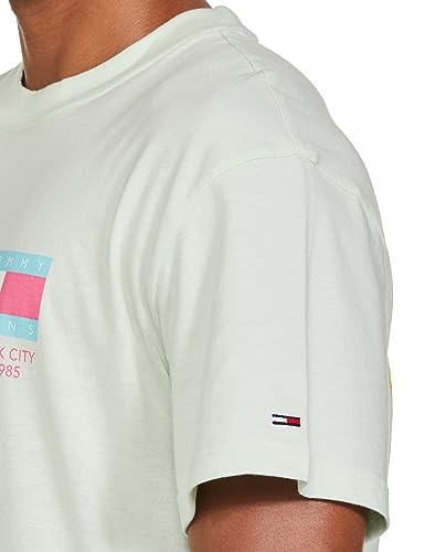 TOMMY HILFIGER Men's Relaxed fit Half Sleeve T-Shirt, Minty, L