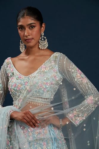 Women's Sky Blue Net Panel Style Reception Lehenga