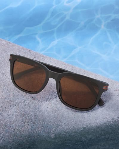 Carlton London Brown and Gold Toned with Brown Polarised Lens Sunglass for men