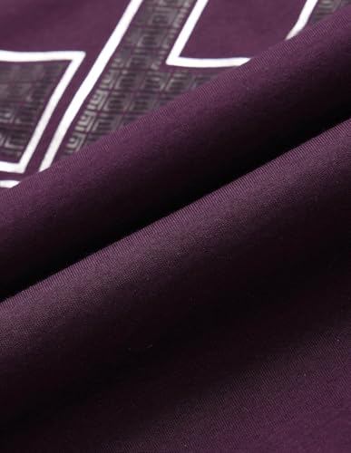 Arrow New York Men's Regular Fit T-Shirt (ANAJTS3126_Dark Purple