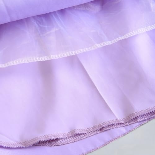 Hopscotch Girls Purple Sleeveless 3D Floral Applique Gown for Age (12-24 Months)