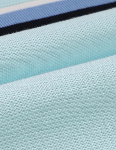 U.S.Polo Association Men's Brand Embroidered Regular Fit Polo Shirt (USTSHOE1025_Light Blue_2XL)