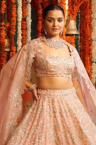Women's Embellished Organza Lehenga with Sequins and Zardozi work