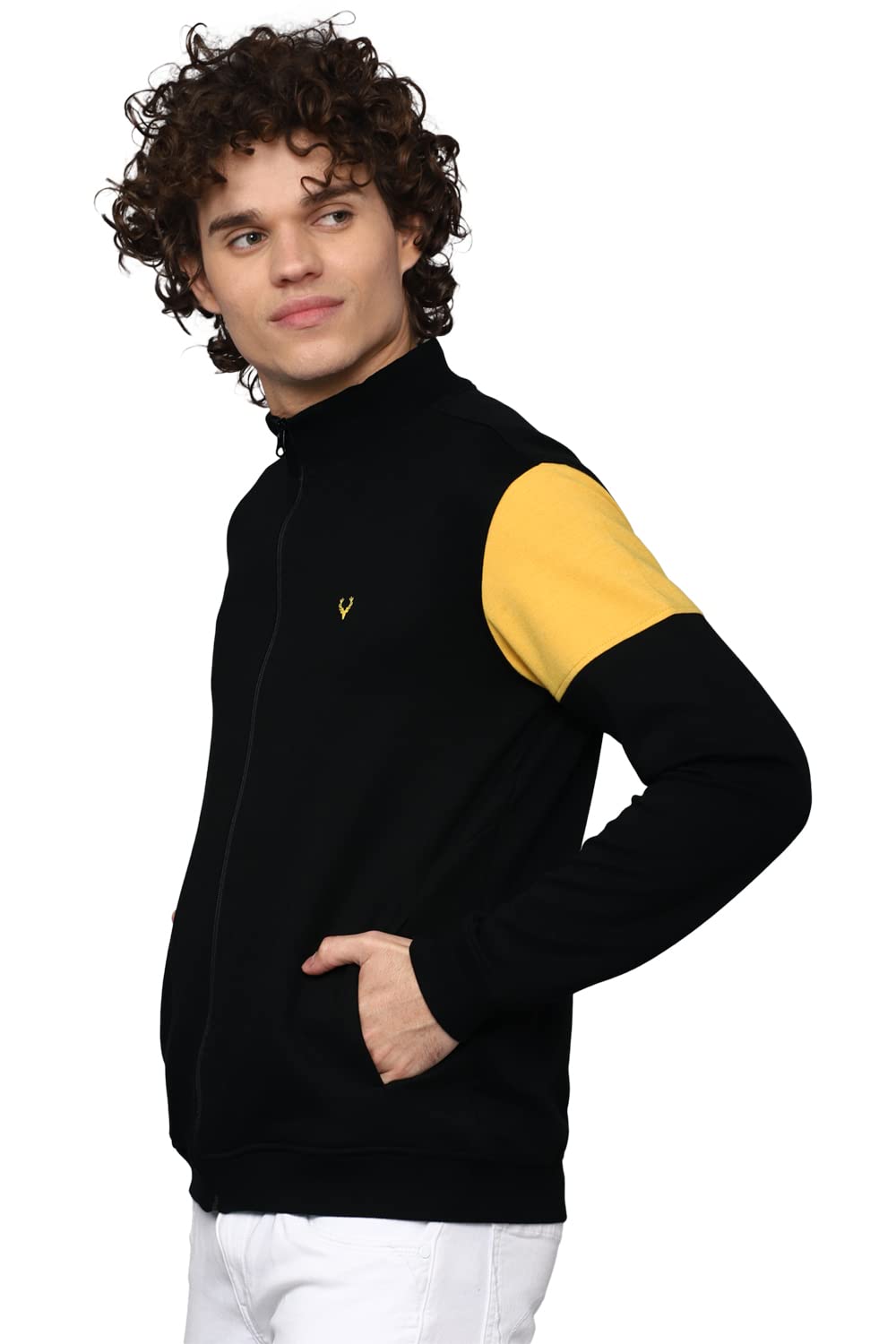 Allen Solly Men Cotton Crew Neck Casual Sweatshirt Light Green(Asstforgfi37917) XL