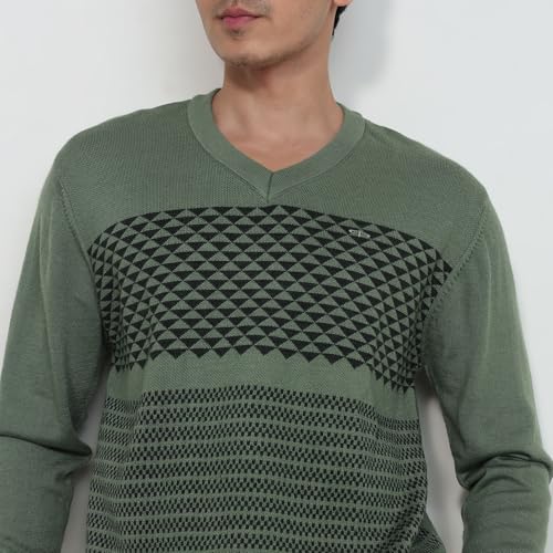 Colorplus Men Regular Fit Jacquard Pattern Merino Wool Acrylic Blend Full Sleeve V Neck Casual Sweater