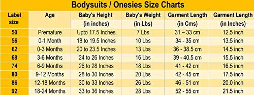 TuddyBuddy 100% Cotton Half Sleeves Romper/Bodysuit for Baby Boys (Pack of 10 Pcs HS, 3-6 Months, Multicolor)