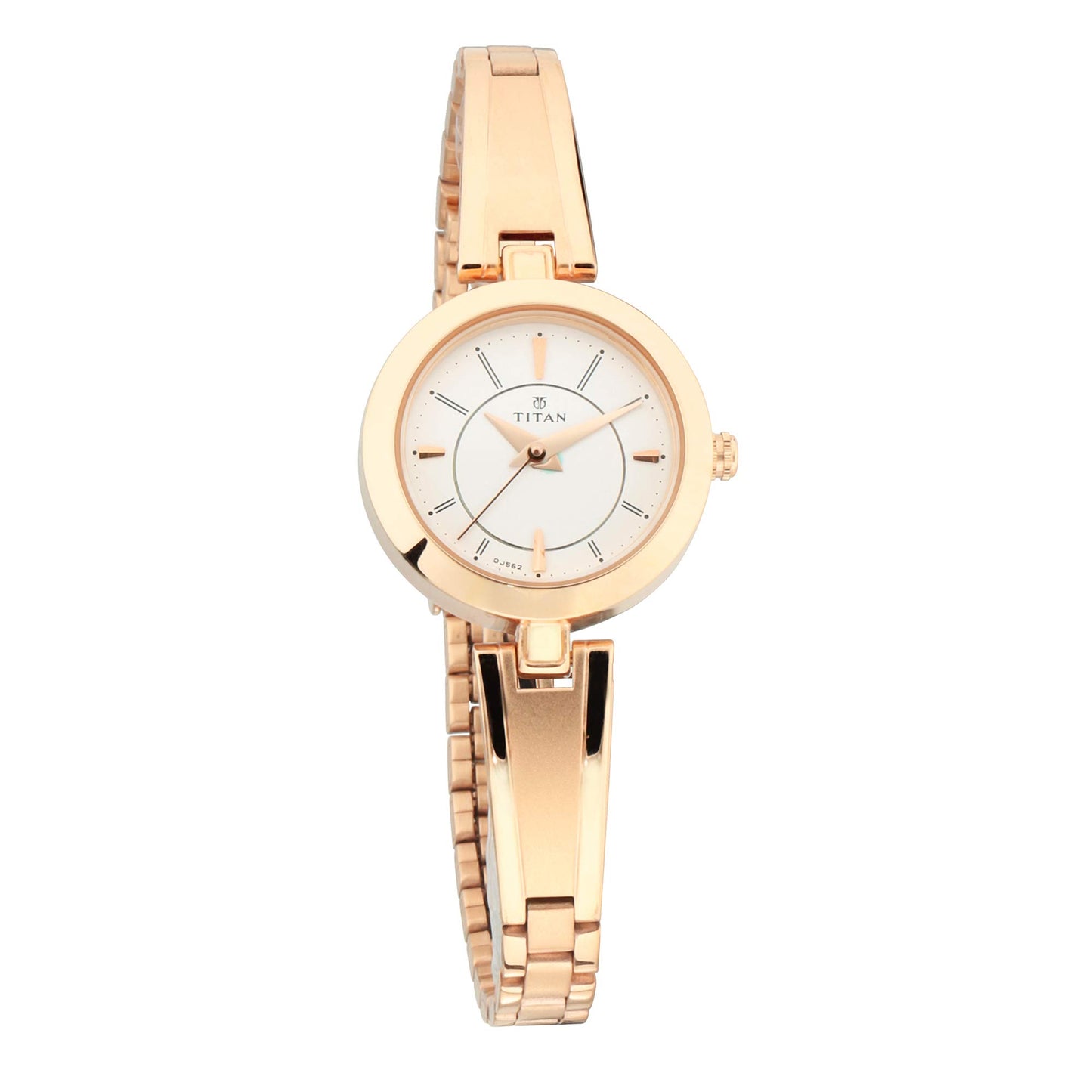 Titan Quartz Analog Silver Dial Metal Strap Watch for Women-NS2598WM01/NT2598WM01