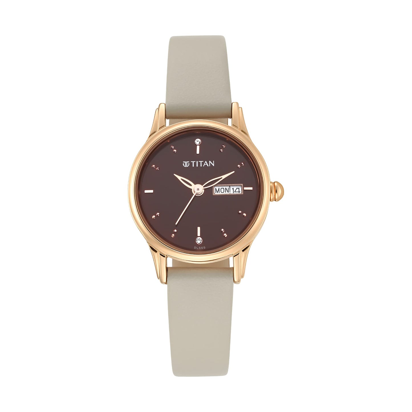Titan Analog Brown Dial Women's Watch-2656WL01