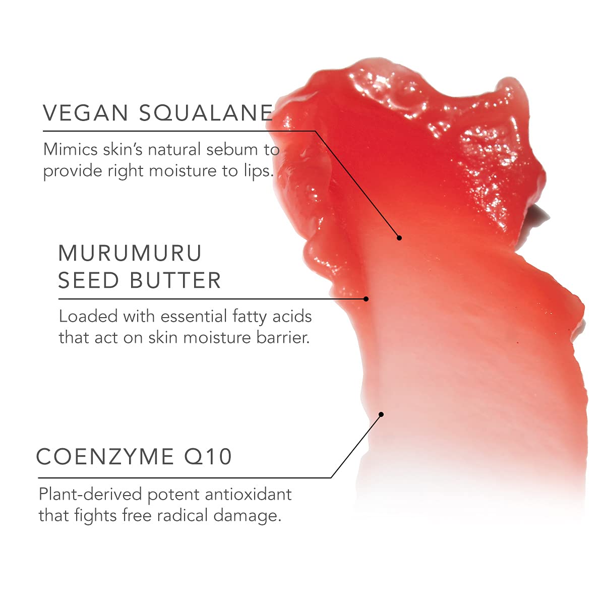 Daughter Earth Dreamy Lip Mask | Lip Balm With Vitamin E and Huang Qi | Pink Glossy Finish | Smoothens Nourishes & Moisturize | Hydration Lock Primer For Plump Lips| Overnight Mask For Softness| 15 gm