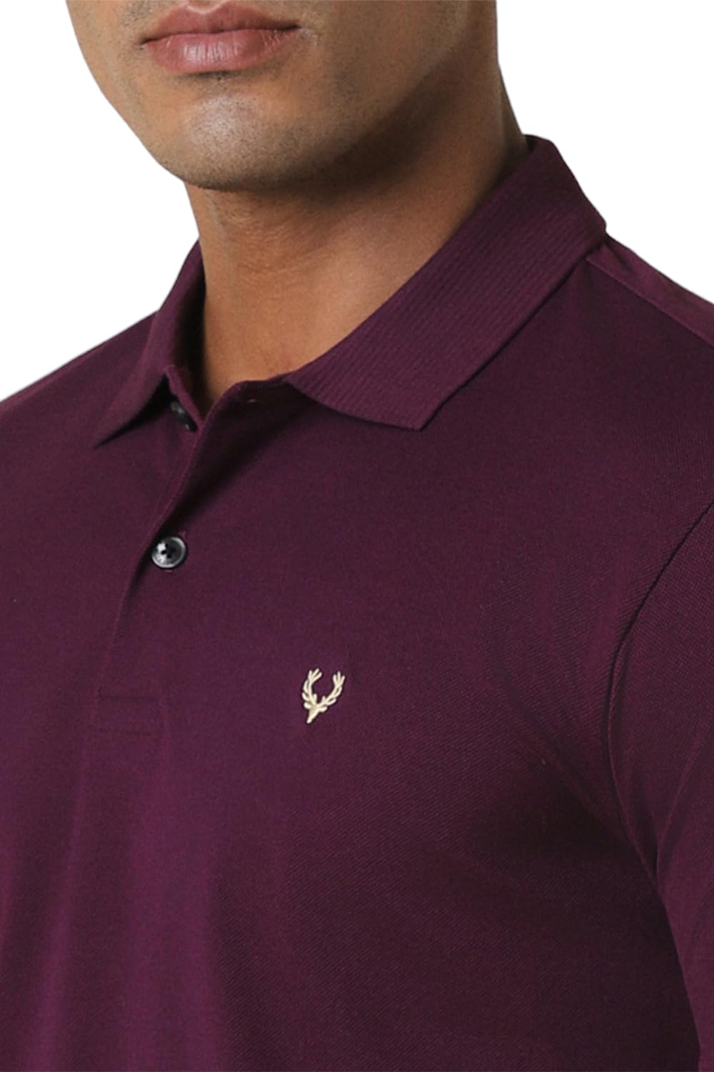 Allen Solly Men's Regular Fit T-Shirt (ASKPGRGFM01348_Purple_S