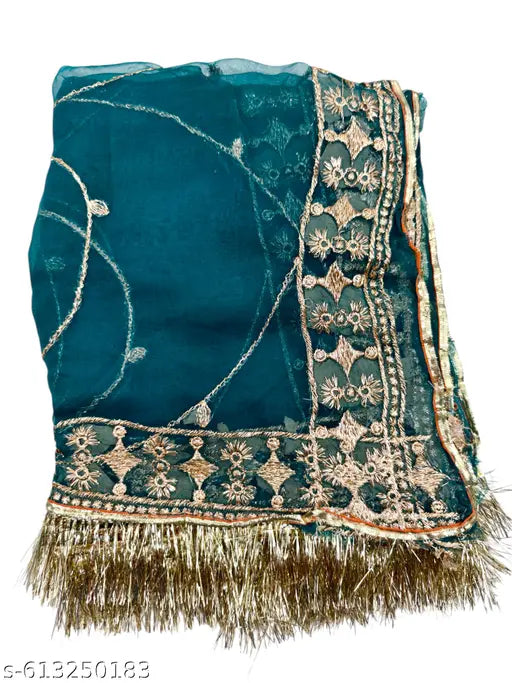 rajputi poshak rajasthani poshak rajputi dress Lehenga choli