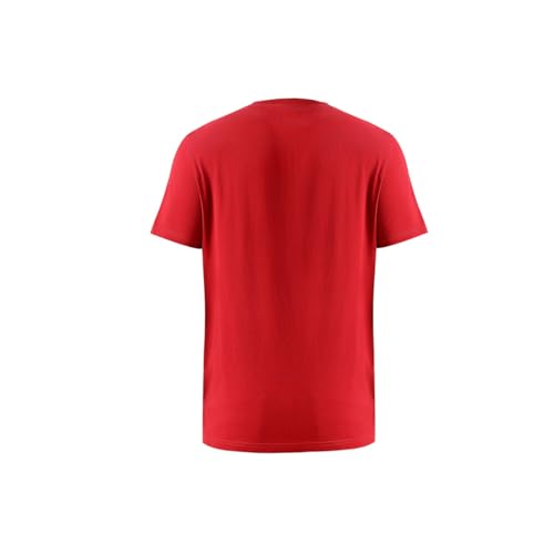 Pepe Jeans Men's Slim Fit T-Shirt (PM509820_Ruby RED
