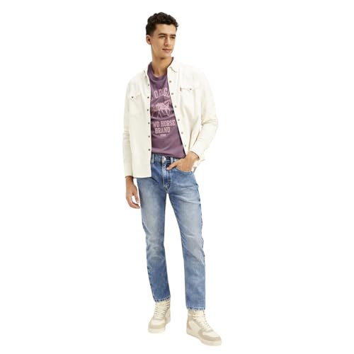 Levi's Men's Blue Regular Fit Mid Rise Jeans