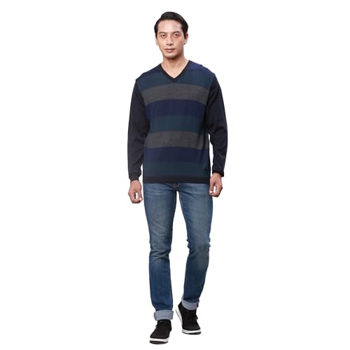 Park Avenue Men's Regular Fit Acrylic Wool Blended Stripe Pattern V Neck Full Sleeve Casual Sweater (Size: 85)-Pcwa00268-B9,Blue