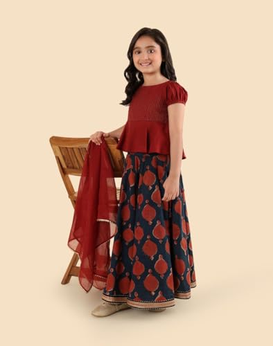 Fabindia Indigo Rayon Blend Dabu Printed Lehenga, Dupatta & Choli Set