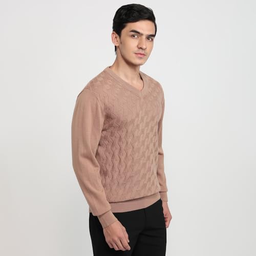 Colorplus Men Regular Fit Solid Pattern Merino Wool Acrylic Blend Full Sleeve V Neck Casual Sweater