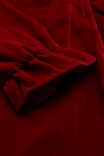 Allen Solly Girls Maroon Solid Regular Fit Party Dress