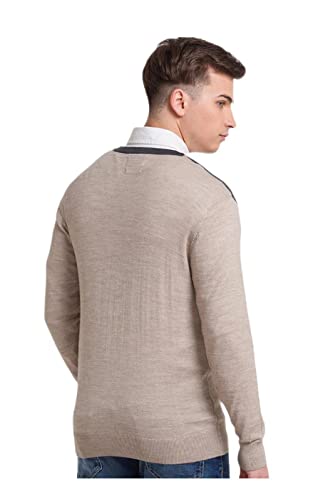 Colorplus Tailored Fit Beige Sweater for Men