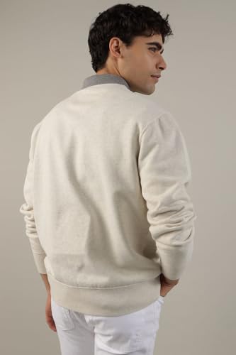 American Eagle Men Beige Super Soft Icon Graphic Crew