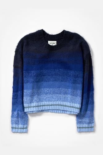 American Eagle Women Blue Boxy Striped Sweater