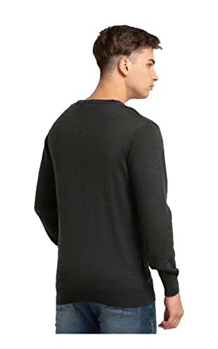 Colorplus Tailored Fit Beige Sweater for Men