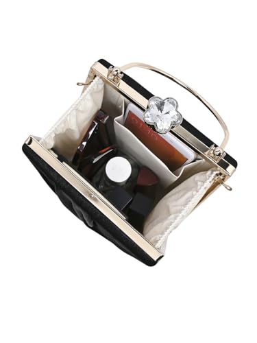 Lavie Signature Women's Aurora Vt Handle Framed Clutch | Ladies Purse | Gift For Women