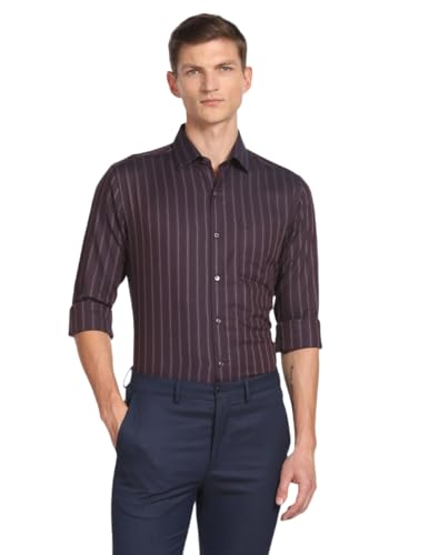 Arrow Men's Striped Slim Fit Shirt (ARAFSH0732_Plum