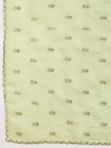 AKHILAM Women's Light Green Tissue Sequins Work Saree With Unstitched Blouse Piece (RANI2601_RN)