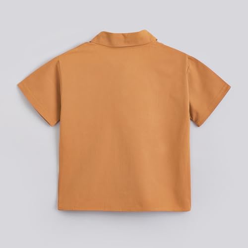 Hopscotch Boys Short Sleeves Brown 2-Pc Dino Applique Shirt & Shorts (18-24 Months)