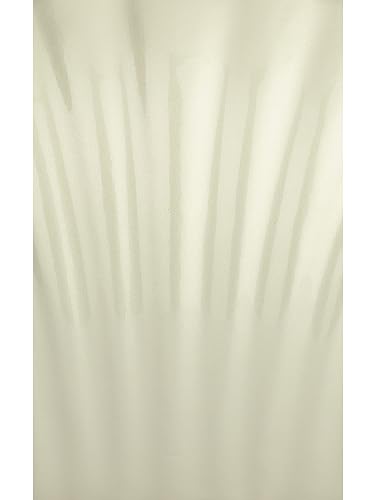 TOOBA Handicraft Women's Shell Clutch|Stylish Wedding, Cocktail, Party & Festive Bridal Gift Bag for Women & Girls (Golden Shell)