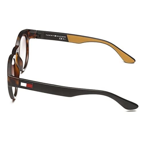 Tommy Hilfiger Unisex-Adult Brown Sunglasses-49 (TH 1555/S Scl Giall Avna 49 S_LC)