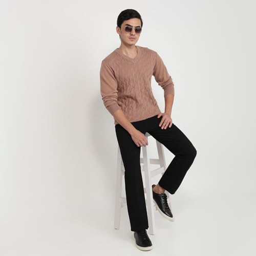 Colorplus Men Regular Fit Solid Pattern Merino Wool Acrylic Blend Full Sleeve V Neck Casual Sweater