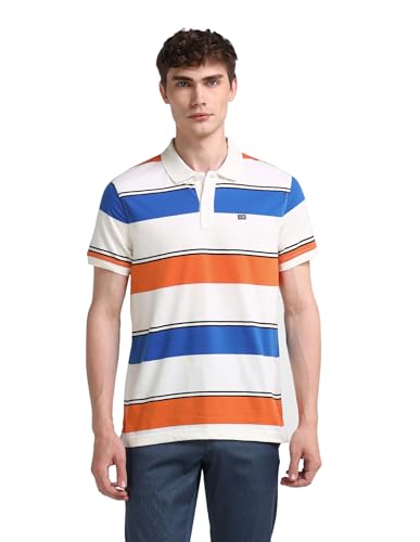 Arrow Sports Men's Striped Regular Fit Polo Shirt (ASAEOTS5297_Multi