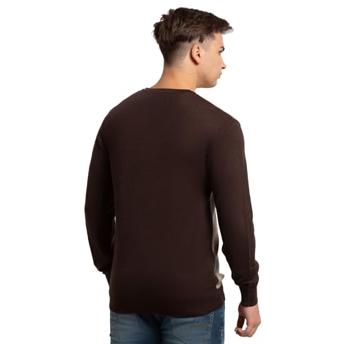 Colorplus Tailored Fit Brown Sweater for Men