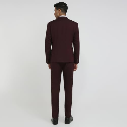 Park Avenue Men Modern Slim Fit Solid Pattern Terylene Rayon Blend Notch Lapel Full Sleeve Ceremonial Suit Maroon