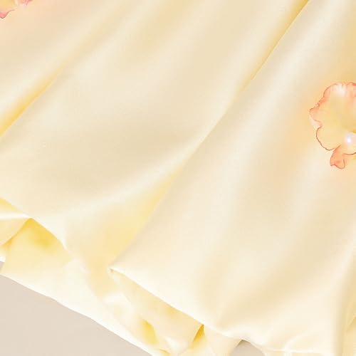 Hopscotch Girls Yellow Sleeveless Butterfly Applique Party Dress for Age (18-24 Months)