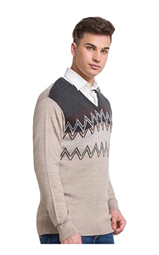Colorplus Tailored Fit Beige Sweater for Men