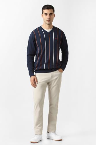 Men Navy Stripe V Neck Sweater