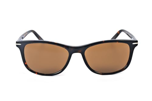 Pierre Cardin Men's Brown Lens Acetate Cat Eye Sunglasses - 716736927916 (2065650865570)