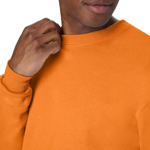 Hanes Men's EcoSmart Fleece Sweatshirt